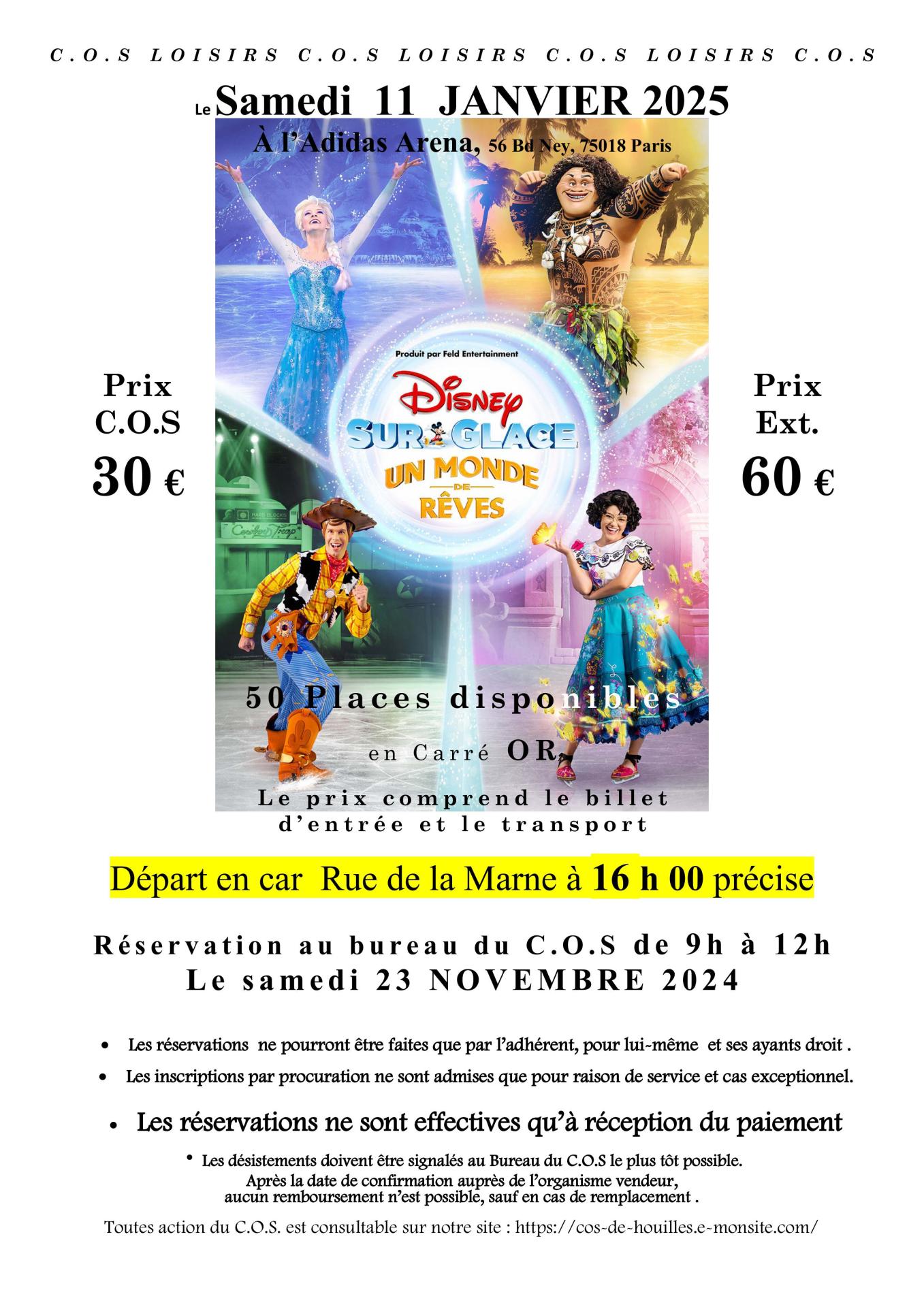 Affiche disney sur glace